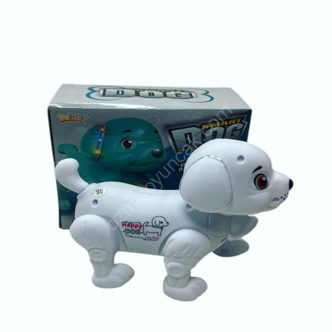 Pilli ışıklı smart köpek and 13-C