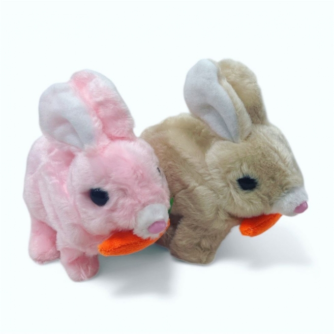 Kulakları ışıklı havuçlu tavşan str 4116