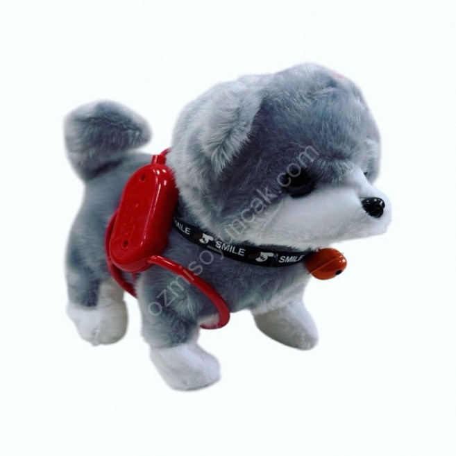 Kablo kumandalı köpek oyd 2026-10